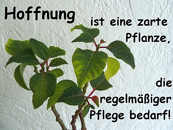 Hoffnung