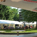 Fest_View