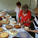 Fest_View