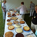 Fest_View