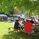 Fest_View