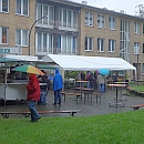 Fest_View