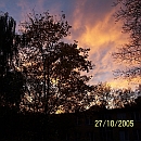 Bild_H2