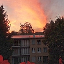 Bild_H29