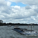 Rhein_bei_Bonn