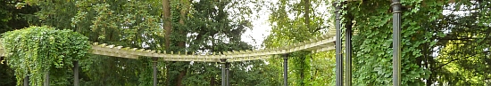 Pergola