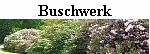 Buschwerk