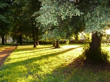 Abendstimmung auf dem Friedhof