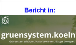 gruensystem.koeln