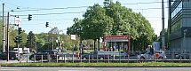 Niederflurbahn