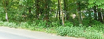 Umweltverstoß