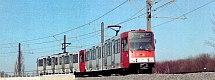 Vortrag Panungsirrsinn