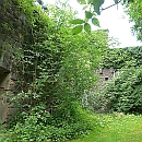Verwilderte Mauern