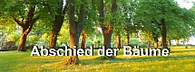 Abschied der Bäume